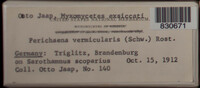 Image Associated With the Occurence